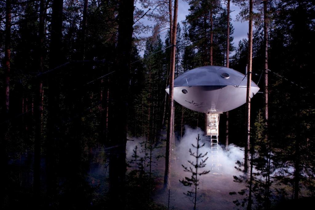 Treehotel Harads Habitación foto