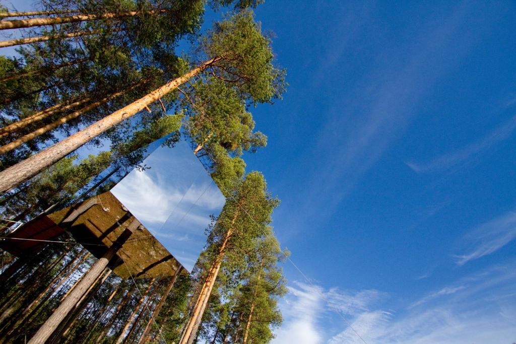 Treehotel Harads Habitación foto