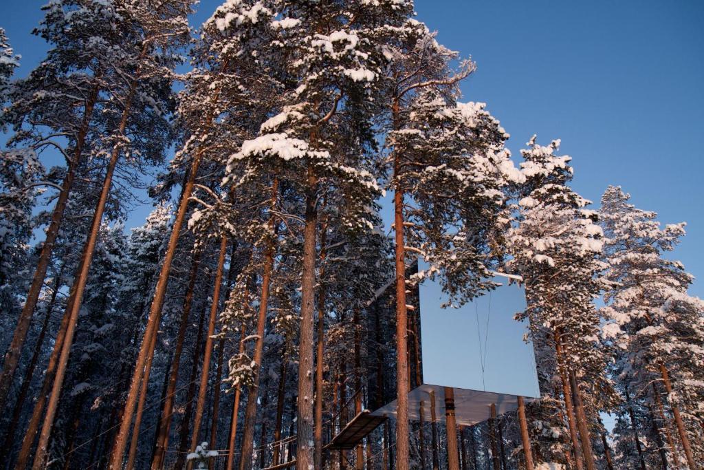 Treehotel Harads Habitación foto