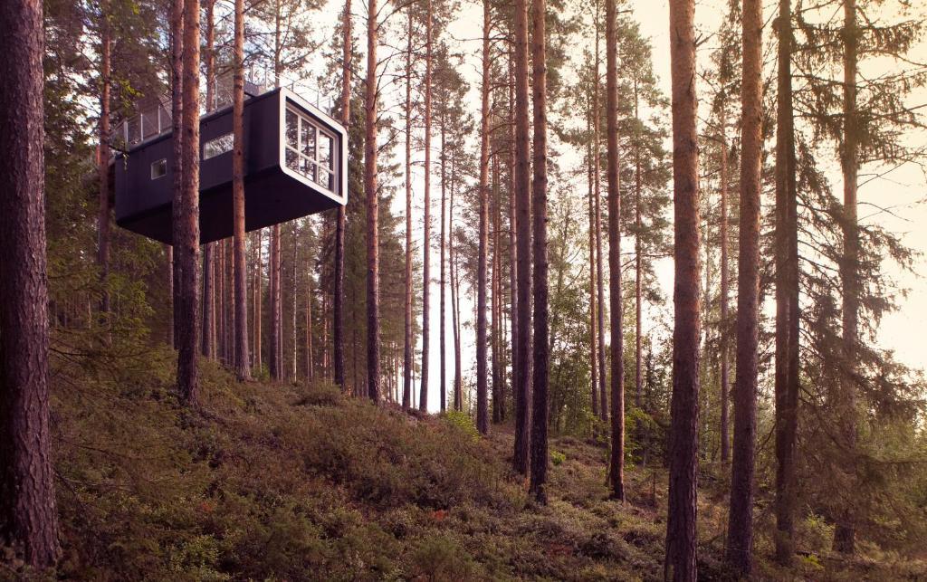 Treehotel Harads Habitación foto