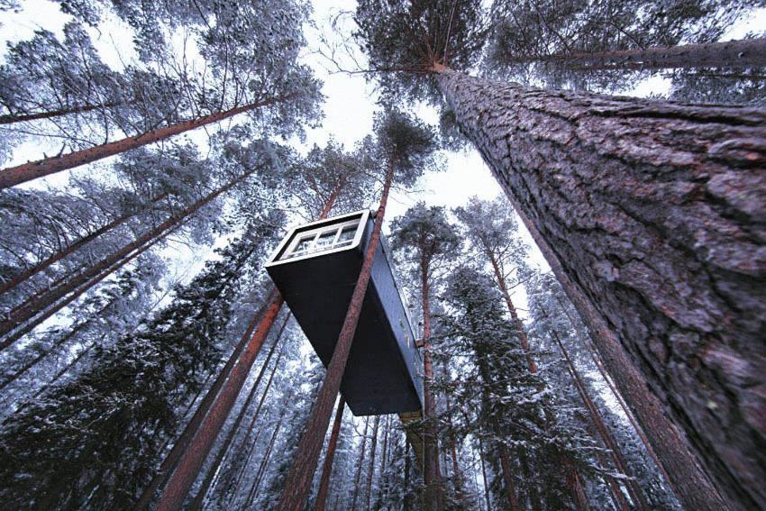 Treehotel Harads Habitación foto